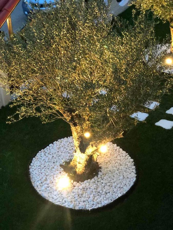 Amaryllis House Apartment Platamonas Bagian luar foto