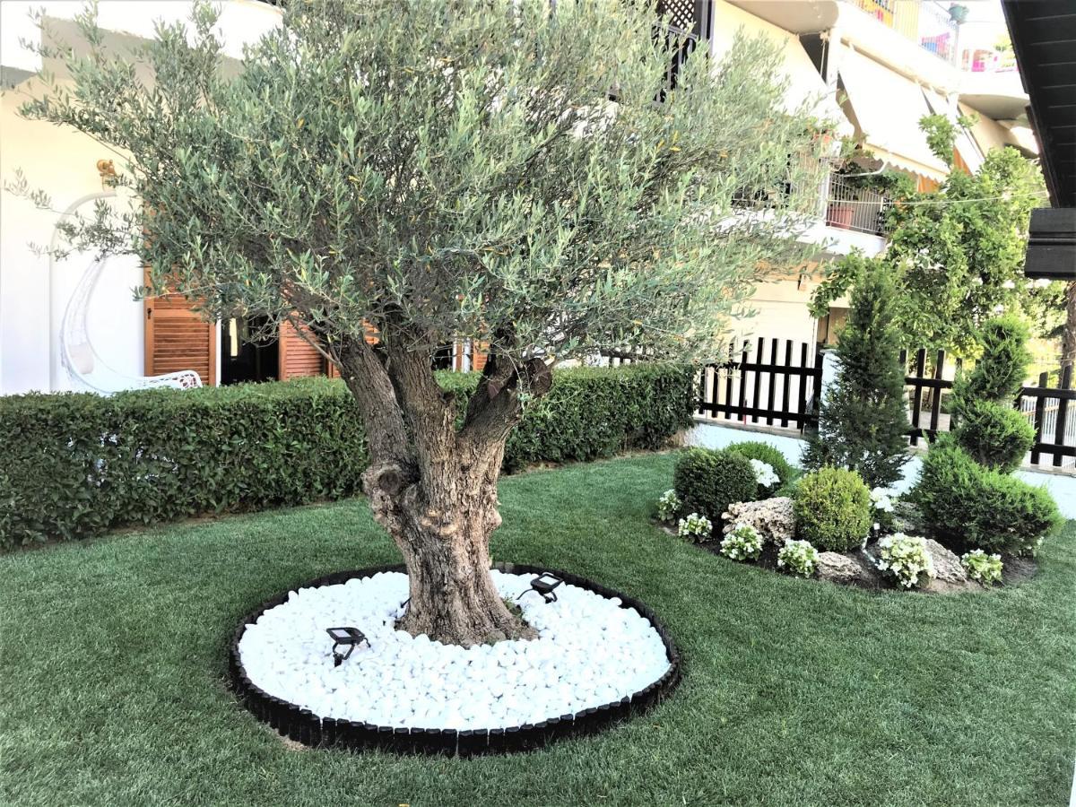 Amaryllis House Apartment Platamonas Bagian luar foto
